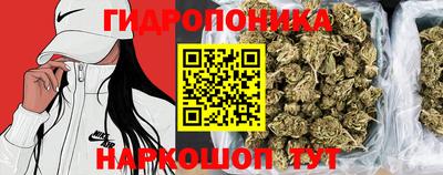 кокс Сочи