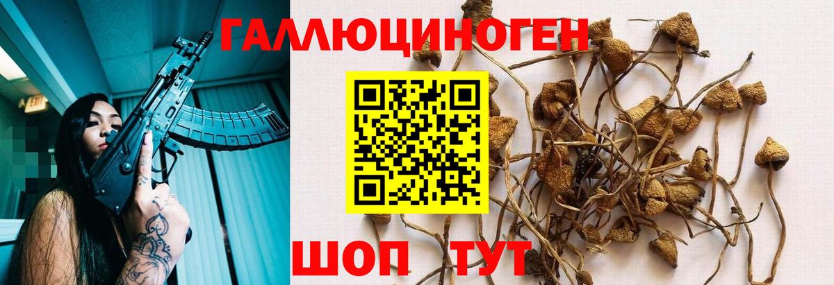 Псилоцибиновые грибы ЛСД Артёмовский
